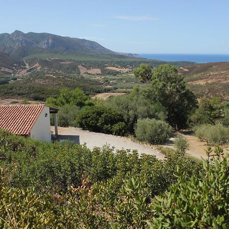 Fighezia Villa Флуминимаджоре Екстериор снимка