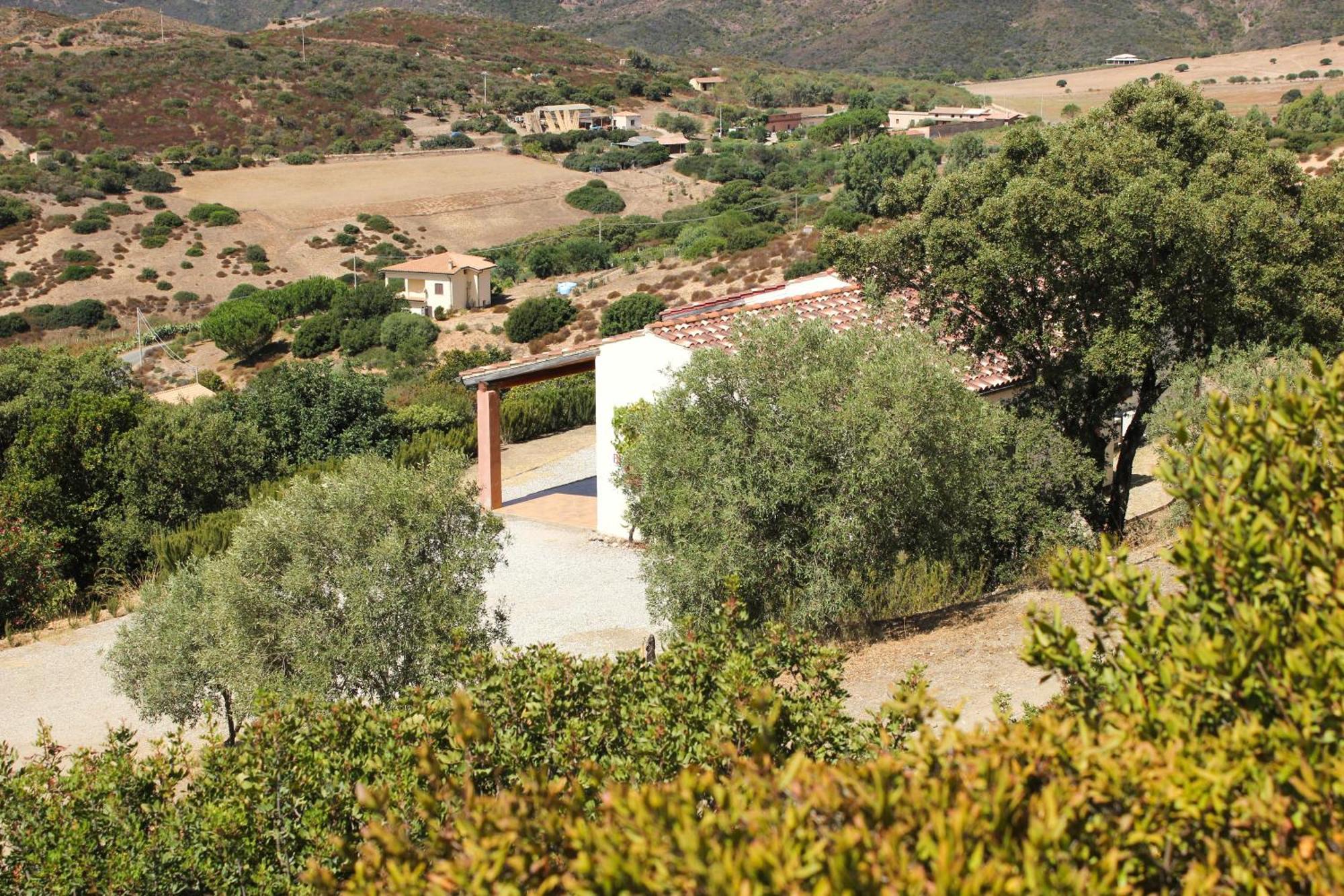 Fighezia Villa Флуминимаджоре Екстериор снимка